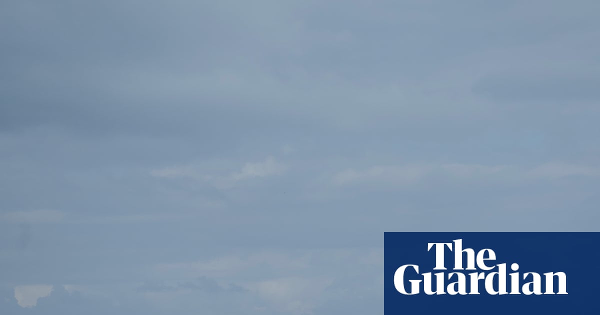 Coyote swam 2 miles to Alcatraz Island, going farther than scientists expected | San Francisco
