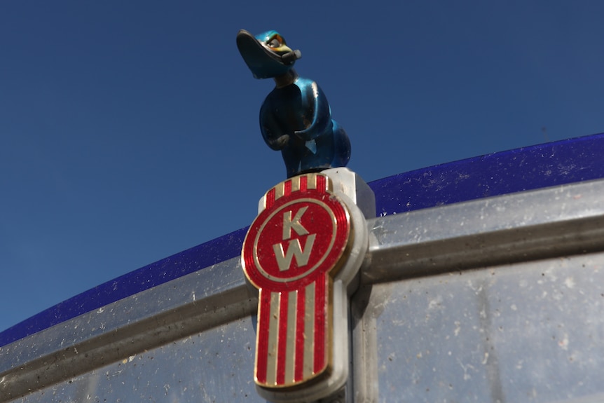 A close up of a blue bird on the hood of a truck, pictured against a cloudless blue sky.