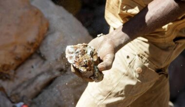 DR Congo eyes stake in $270M Zambia power link