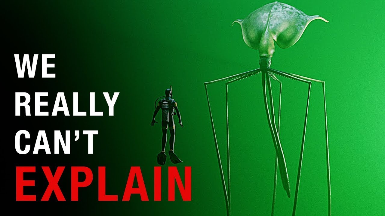 Why Deep Sea Creatures Become So Much Stranger and Larger as the Water Gets Deeper