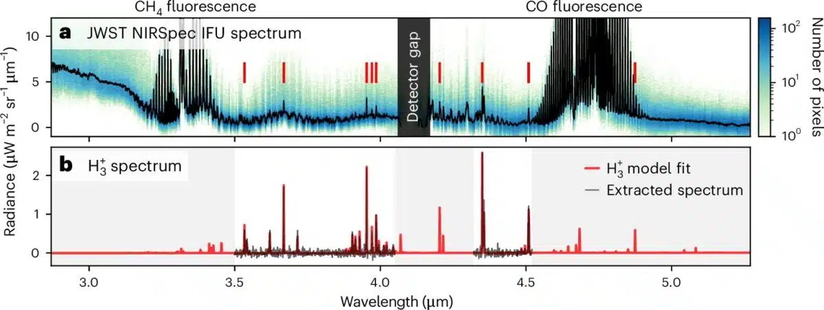 Detection Of The H₃⁺ Cation On Neptune