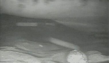 Electric eel infrared