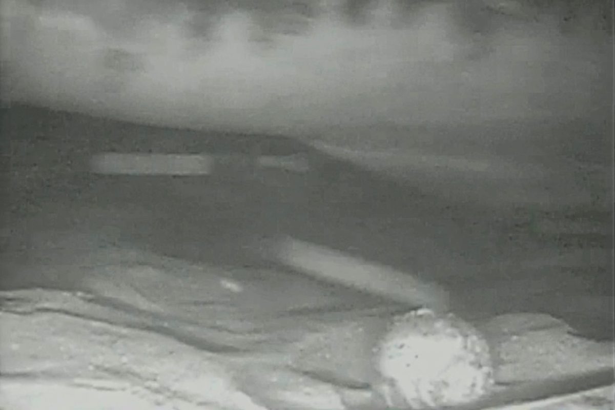 Electric eel infrared