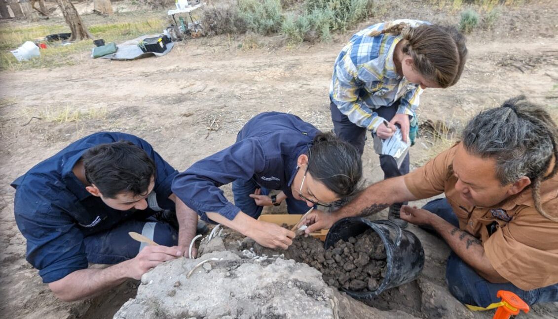 Australian Aboriginals cared for a dingo's grave for decades