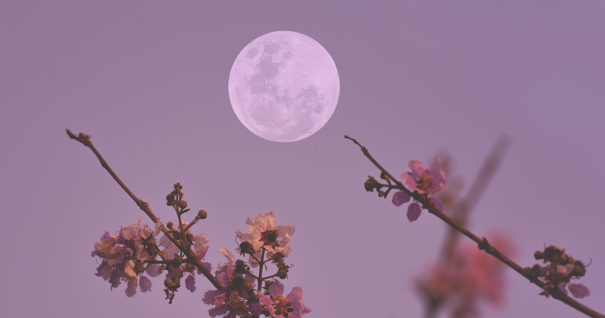 When Is May 2026’s Full Moon? Why Tonight’s Is a ‘Flower Moon’