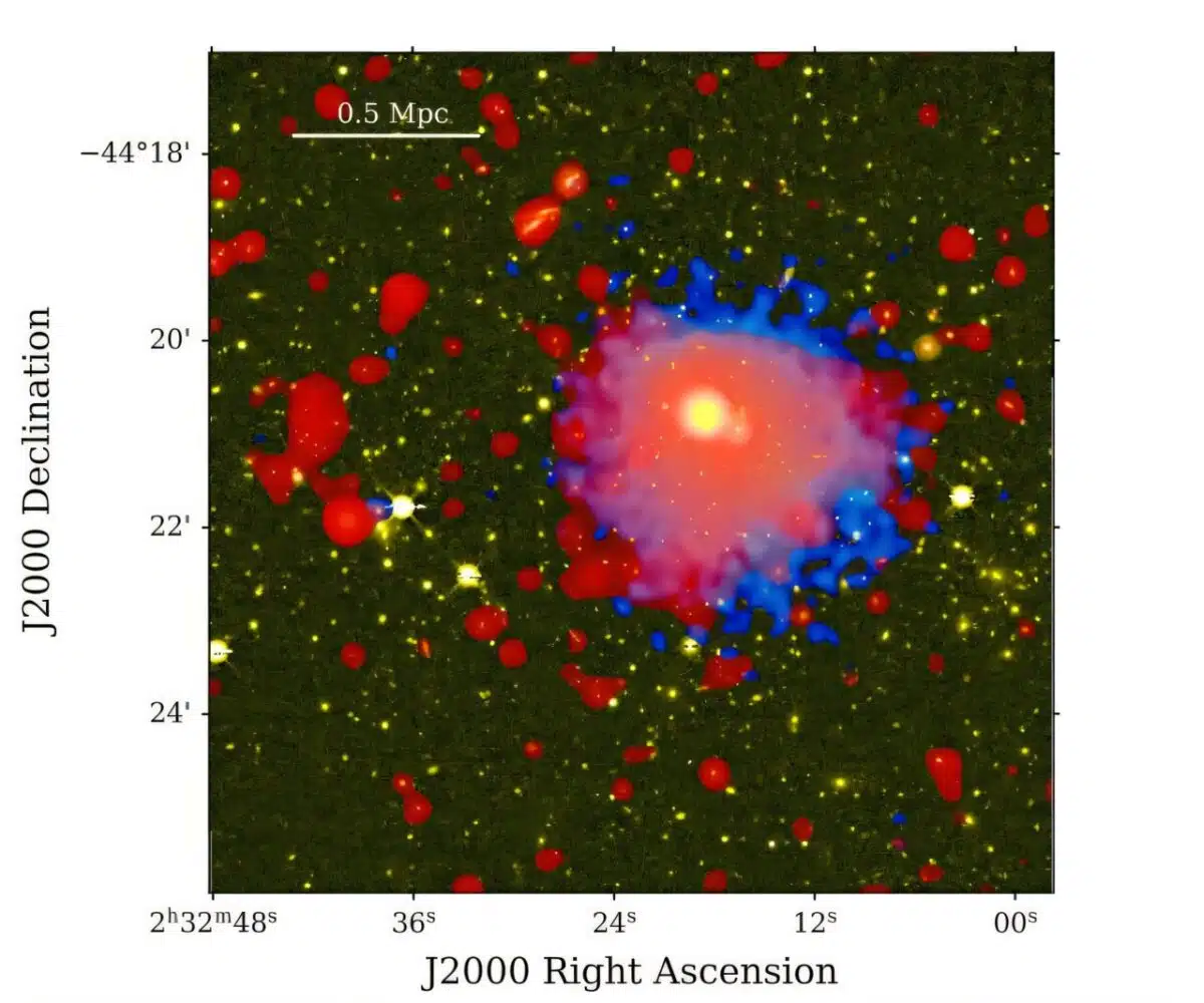Giant Radio Halo Revealed In Multiwavelength Image Of Rxcj0232–4420
