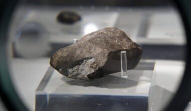 Japan’s Deep Space Mission Brought Back An Asteroid Sample With All 5 Dna Building Blocks