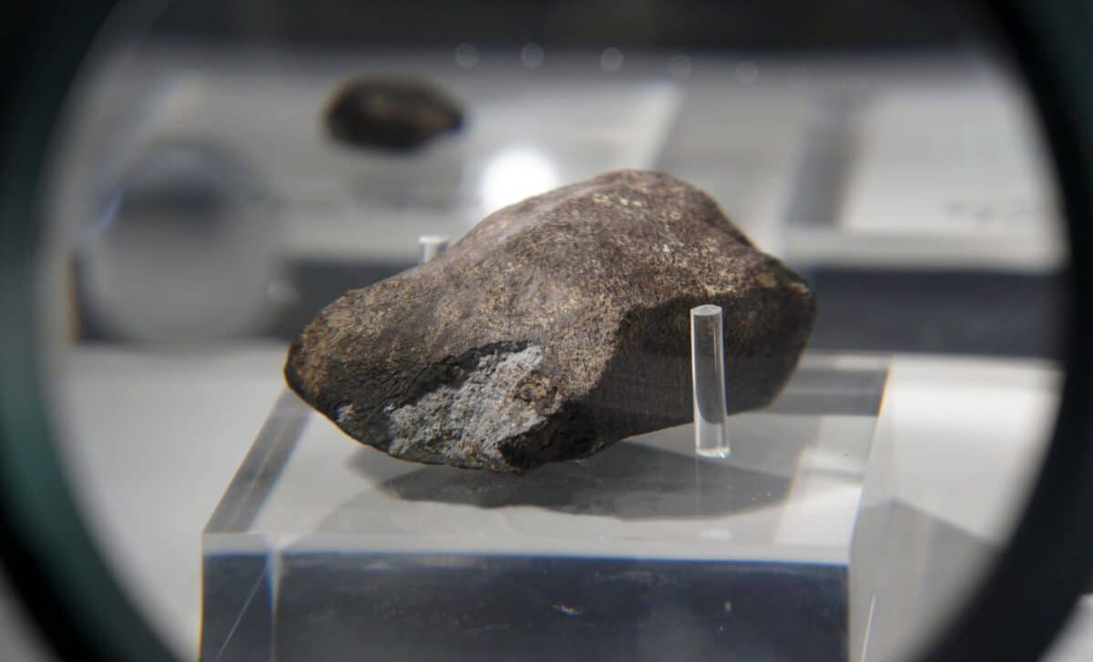 Japan’s Deep Space Mission Brought Back An Asteroid Sample With All 5 Dna Building Blocks