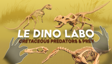 Le Dino Labo's Latest DLC, Cretaceous Predators & Prey, Out Now