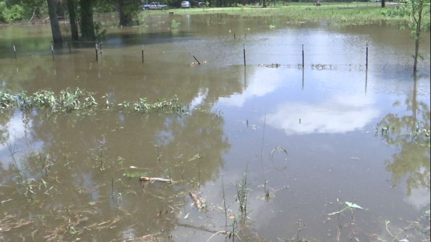 Livingston Parish residents deal with high water, flooding after weekend rainfall