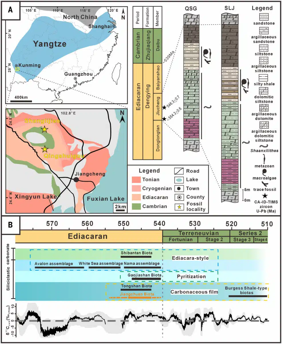 Maps And Stratigraphic Timeline Of The Jiangchuan Biota In Southwest China.