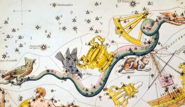 A stylized 19th century drawing of the constellation Hydra representing it as a mythological dragon with a chalice and birds riding on its back.
