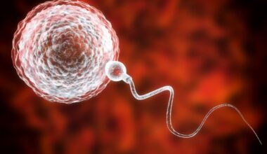 Man Regains Viable Sperm From His Childhood Testicle Tissue : ScienceAlert