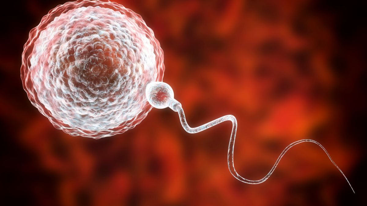 Man Regains Viable Sperm From His Childhood Testicle Tissue : ScienceAlert
