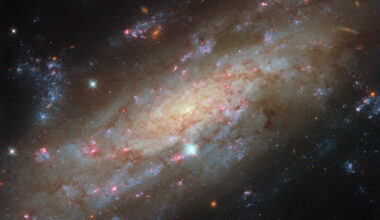 Starry spiral in a familiar neighbourhood