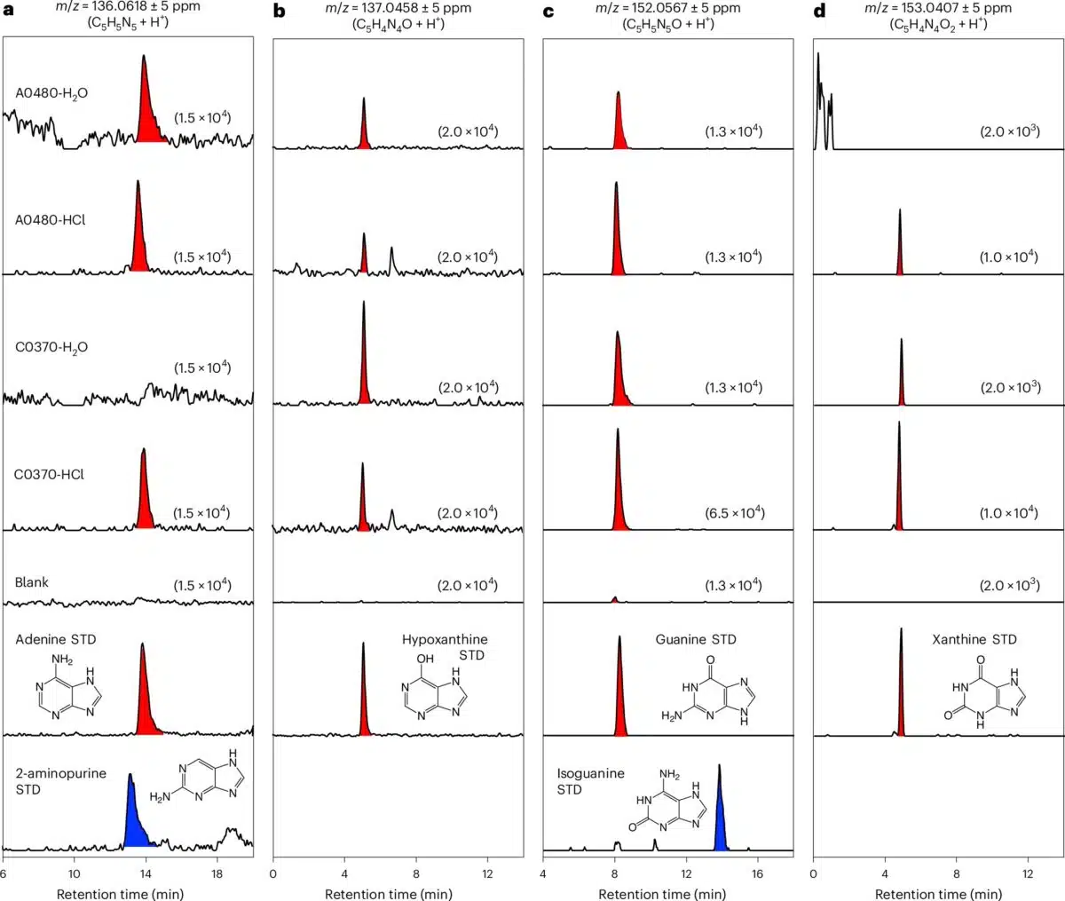 This Image Shows Chromatographic Analysis Of Nucleobases From Asteroid Samples.