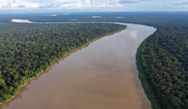 Brazil has protected much of the Amazon. It now has to pay for it.