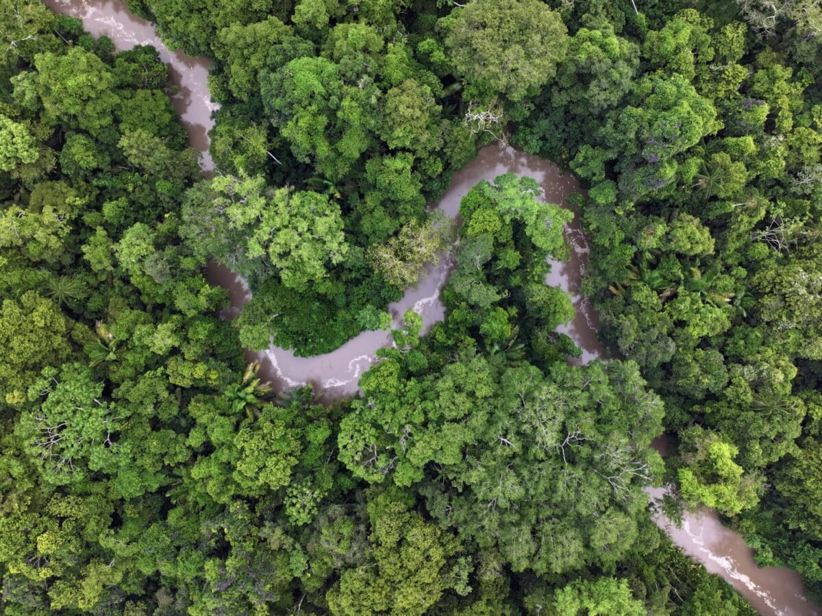 A creek in the Amazon rainforest. Photo by Rhett Ayers Butler