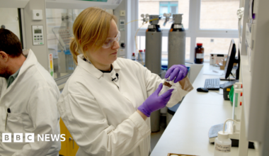 A female scientist in a lab looking at a sample
