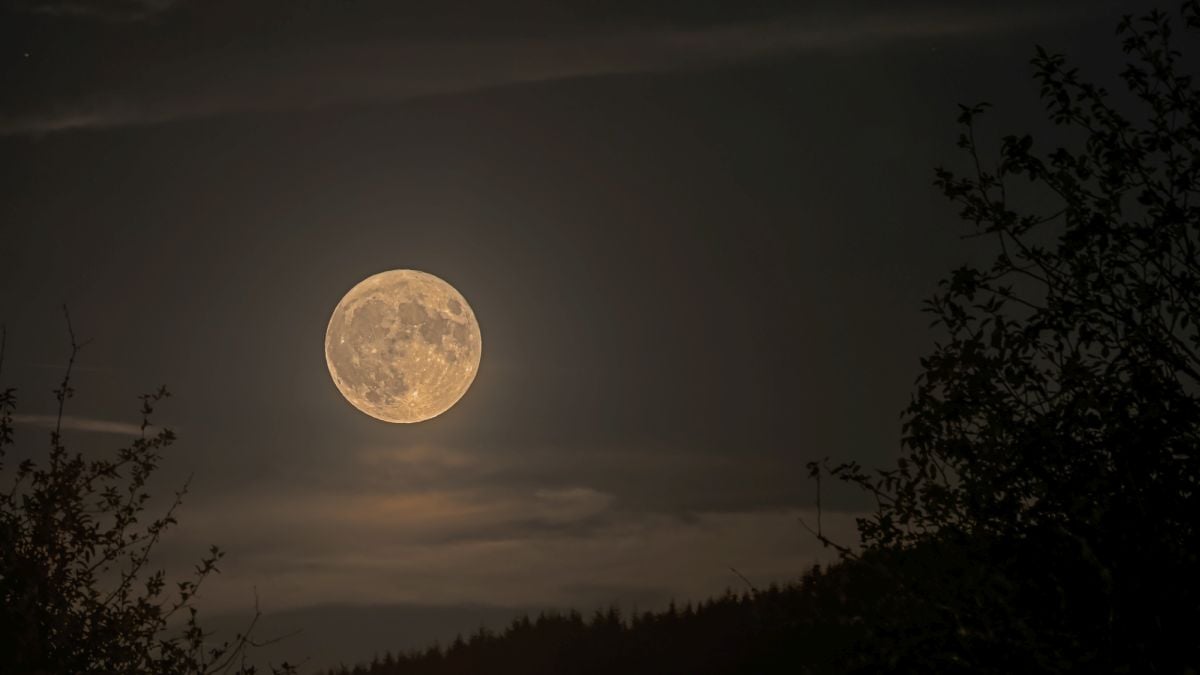 Rare Blue Micromoon Won't Return Until 2053 – Don't Miss It This Week! : ScienceAlert