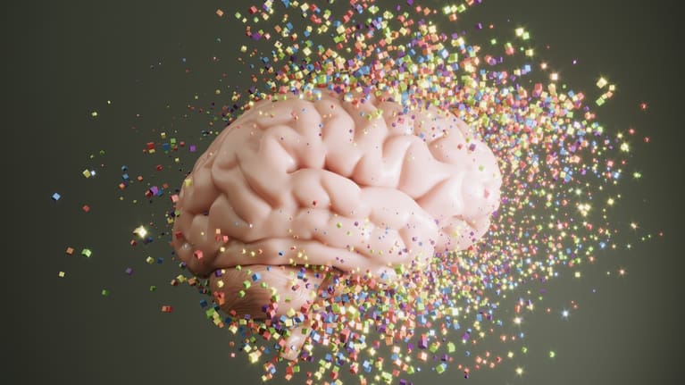 The brain is constantly generating expectations about its surroundings and checking them against signals from the senses.
