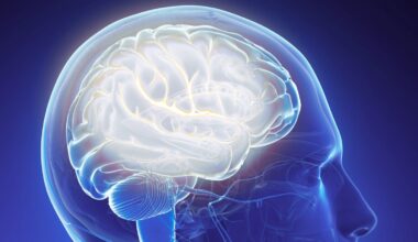 One Rare Condition Seems to Protect The Brain From Schizophrenia : ScienceAlert