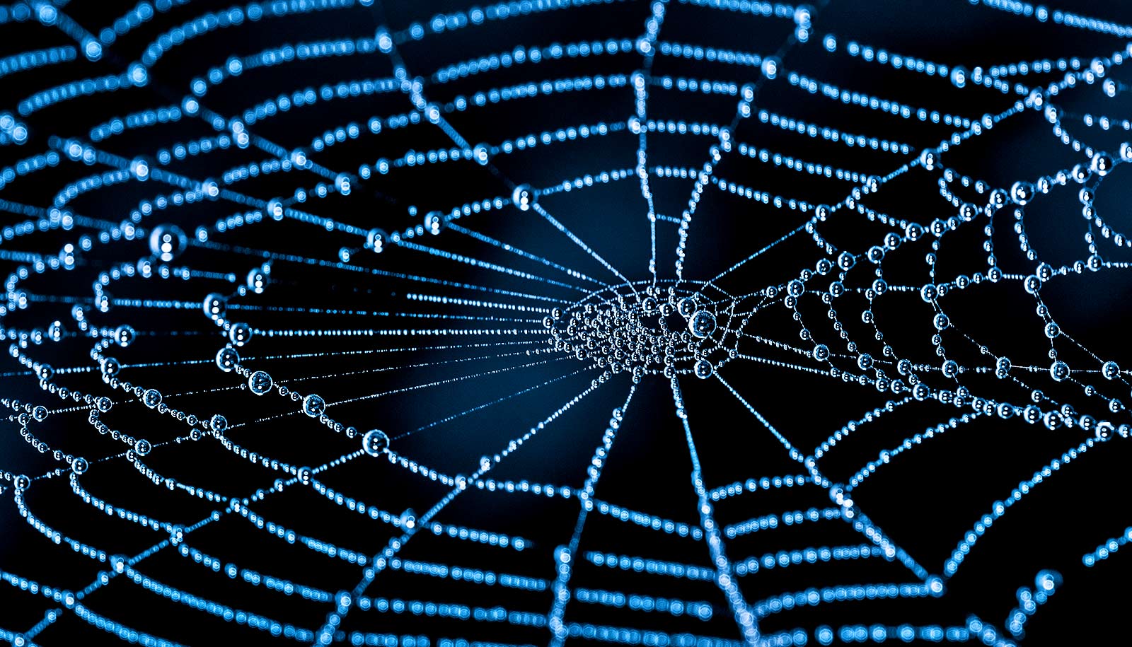 New map of the cosmic web is the most detailed ever
