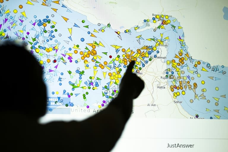 A photo illustration taken in Nicosia on May 4, 2026, shows a person in front of a large screen displaying vessel movements in the Strait of Hormuz on a ship-tracking website (-)