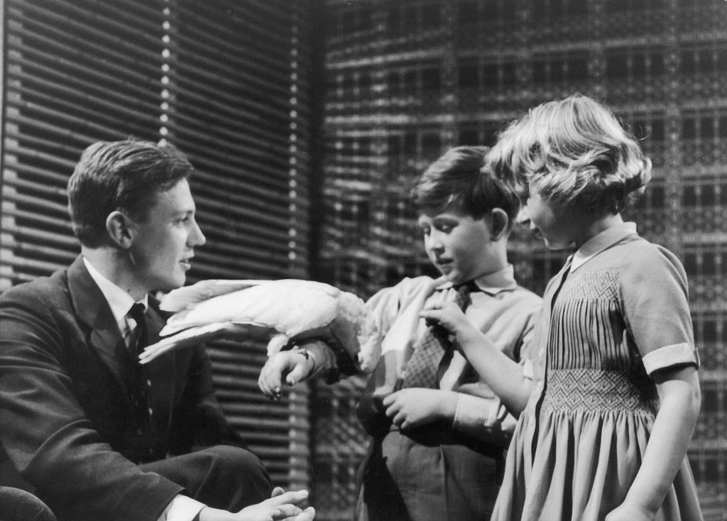 Prince Charles and Princess Anne meet naturalist David Attenborough at Lime Grove Studios on the 4th January, 1958. The young royals are introduced to a cockatoo captured on Attenborough