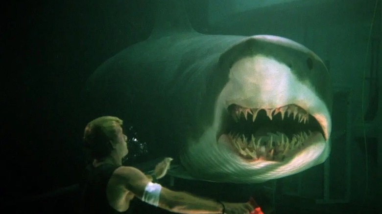 Thomas Jane being looked at by a shark in Deep Blue Sea