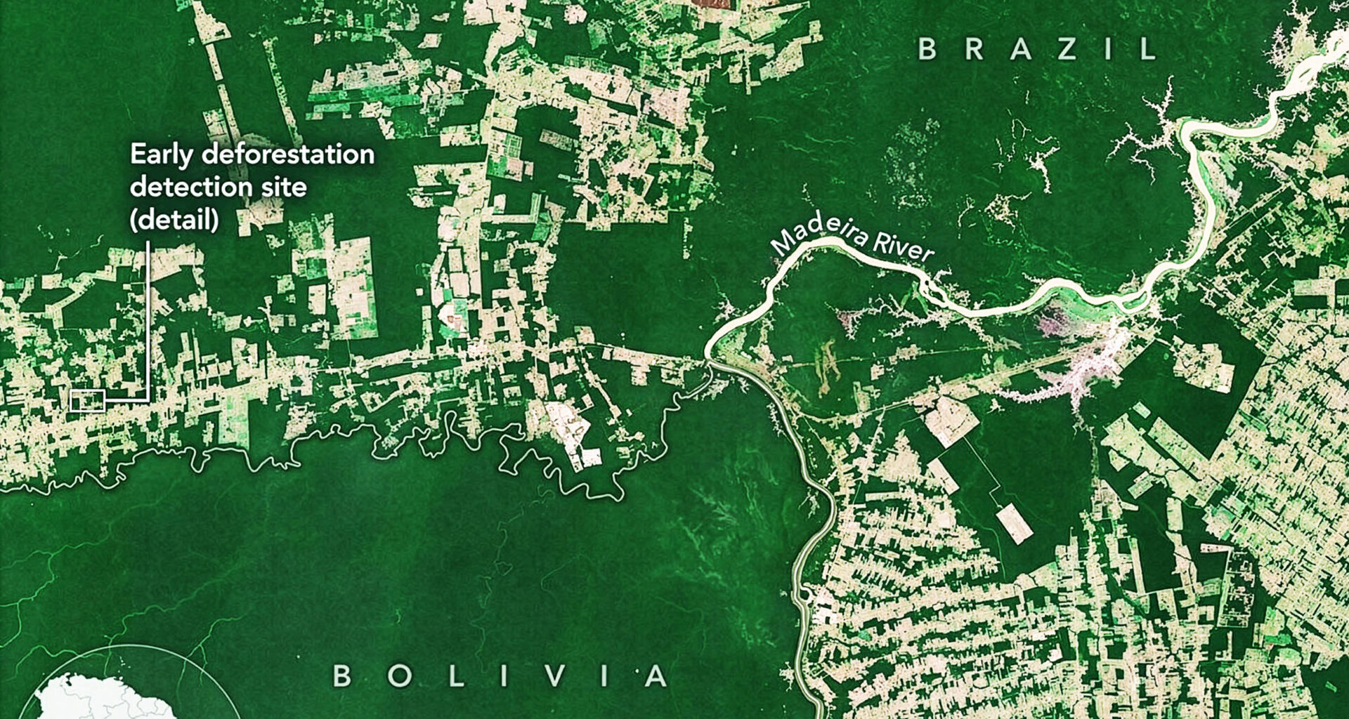 NASA scientists found a faster way to detect forest clearing