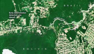 NASA scientists found a faster way to detect forest clearing