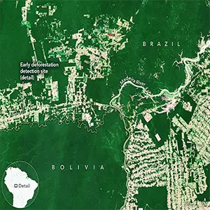 Scientists pioneered a new system that combines data from multiple Earth-observing satellites to identify forest clearing up to 100 days earlier than current methods. Credit: NASA