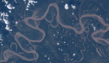 An Amazon rainforest river from space photo of the day for April 30, 2026