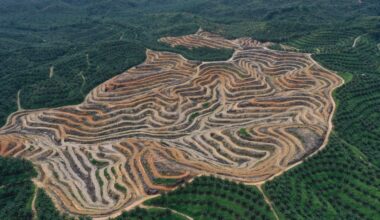 We reviewed 48 ‘low carbon’ projects and found they were becoming part of the fossil fuel problem