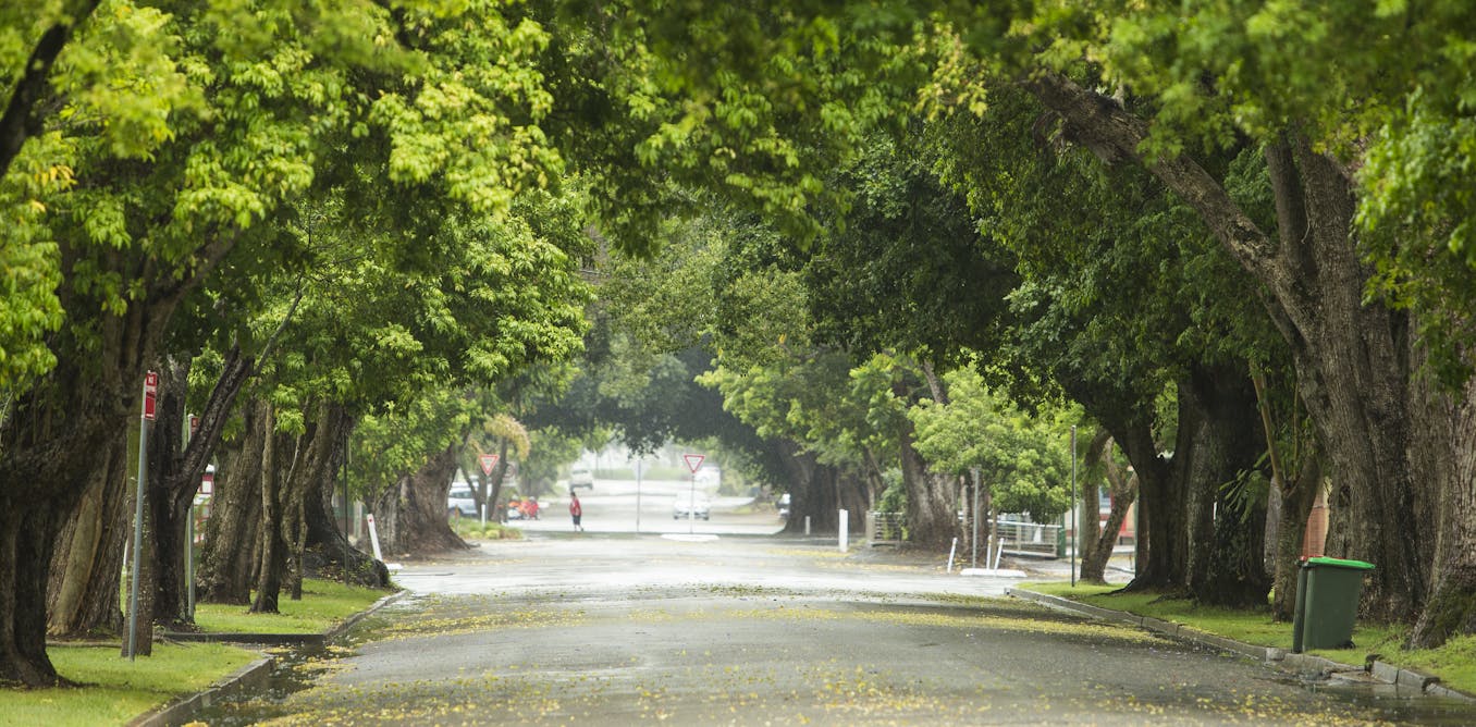 Urban trees cool the world’s cities more than we thought – but we can’t rely on them alone