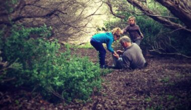 A real ‘intergenerational equity’ budget would address our unceasing environmental decline