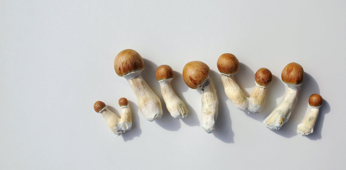 A single dose of psilocybin eased depression symptoms for months, our study found