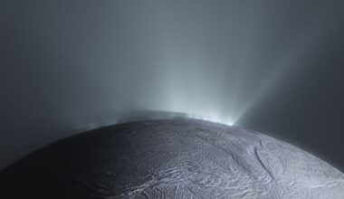 Scientists used a method from ecology to identify whether icy moons could hold conditions for life