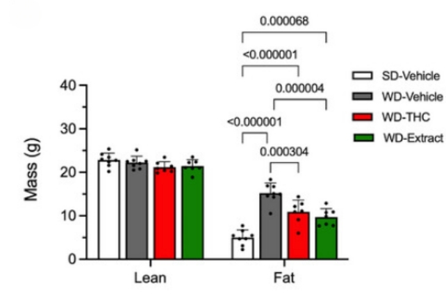 Cannabis Is Linked to Lower Weight And Better Metabolic Health in Mice