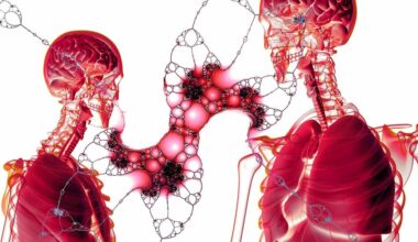 Understanding Transplanted Liver Cells for Regenerative Therapies