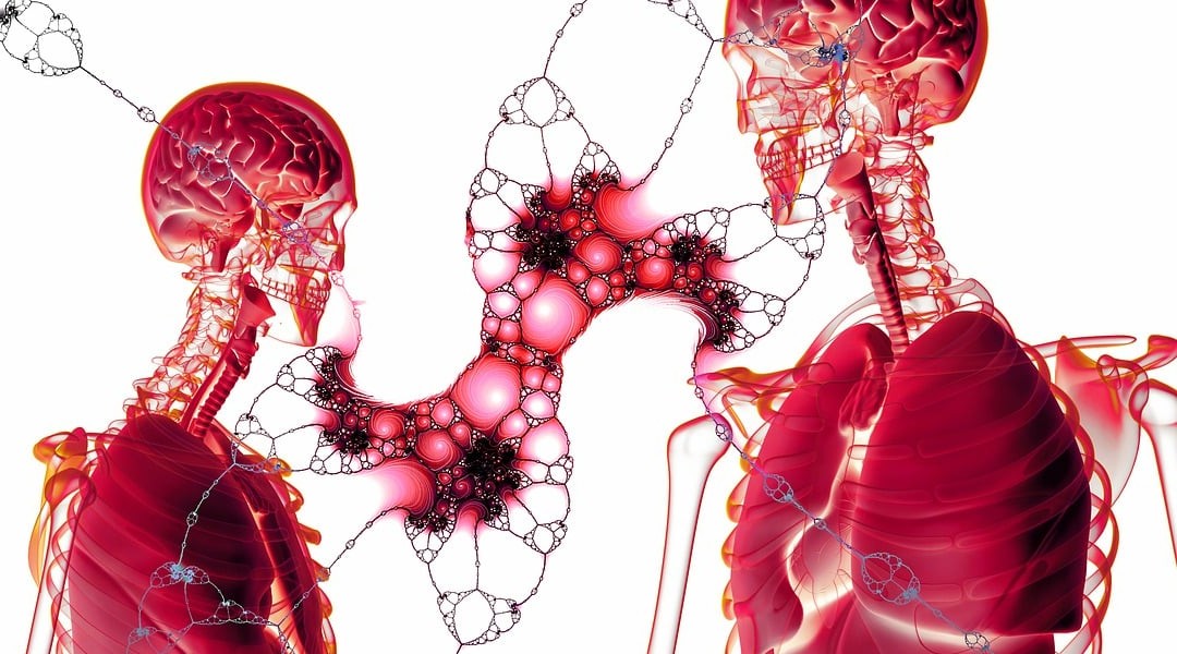 Understanding Transplanted Liver Cells for Regenerative Therapies