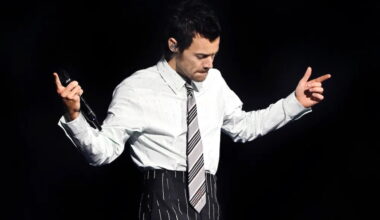 Harry Styles Team Addresses Complaints About Obstructed Views