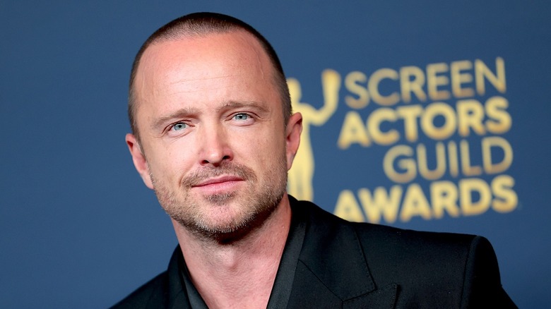 Aaron Paul from Fallout
