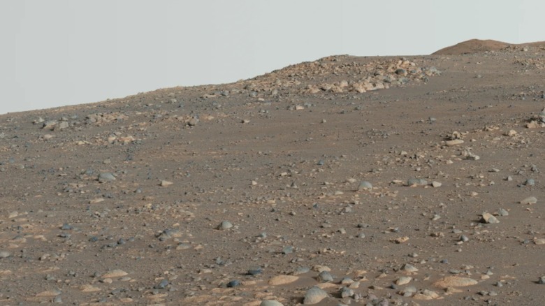 A photo of Mars' landscape near Jezero Crater taken by the Perseverance rover