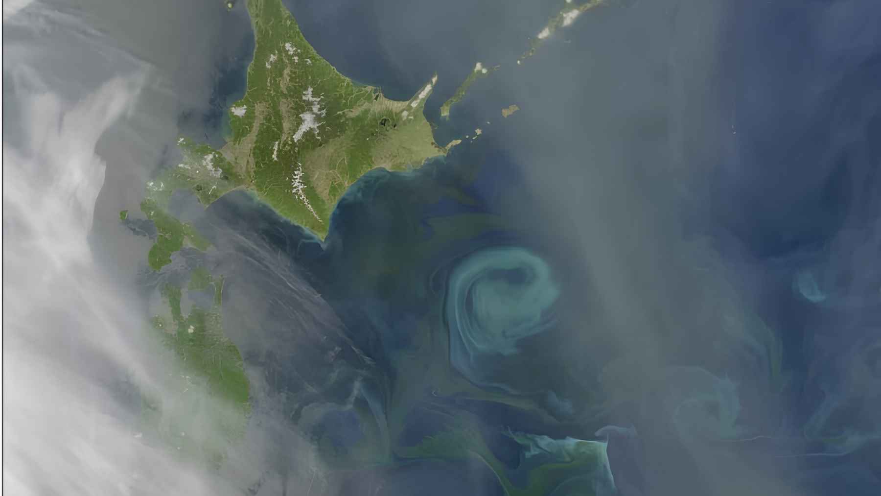Marine heatwave conditions near Japan linked to unusual movement of the Kuroshio Extension current