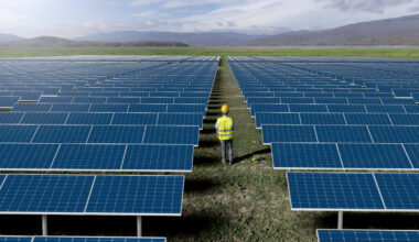 Solar Farms On Degraded Land Are Having A Surprisingly Positive Effect On Local Wildlife