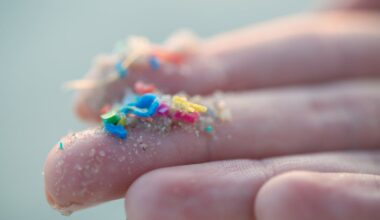 Airborne microplastics could be making climate change worse
