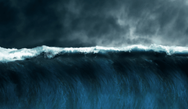 Nasa Captures First Detailed Satellite View Of Giant Pacific Tsunami Across Vast Ocean Basin