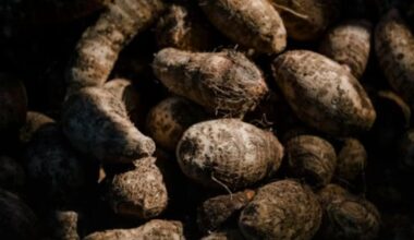 Health Benefits Of Arbi